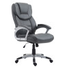 Silla de Oficina XL Texas V2 Gris