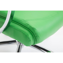 Silla De Oficina XL Vaud Verde